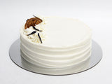 Gluten Friendly Orange Cake - The Cake People