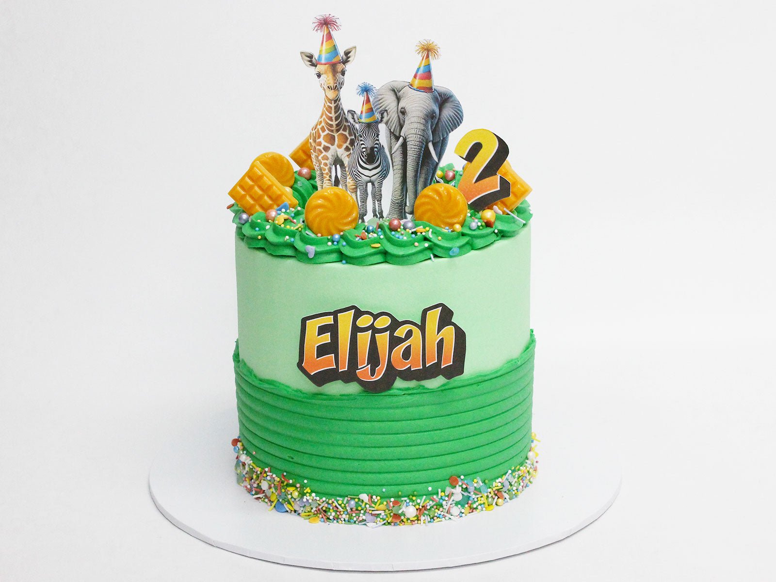 Jungle Animals Birthday Cake - The Cake People