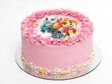 Pink Paw Patrol Cake – Sky & Everest - The Cake People