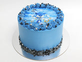 Sonic Edible Image Cake - The Cake People