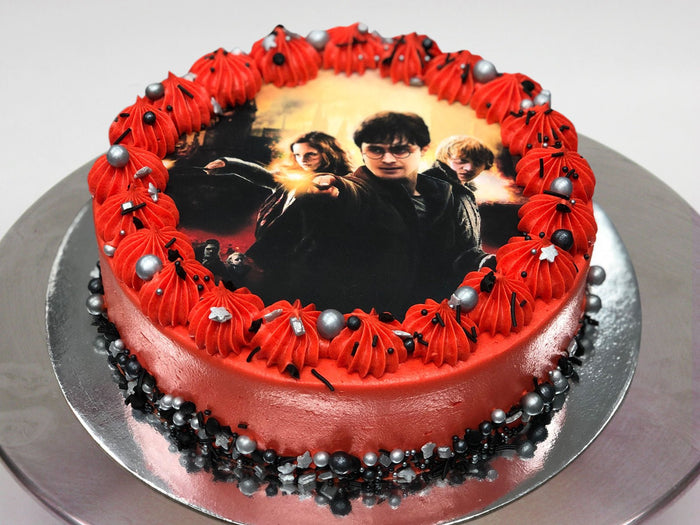 Harry Potter Cake - The Compassionate Kitchen (7651553214623)
