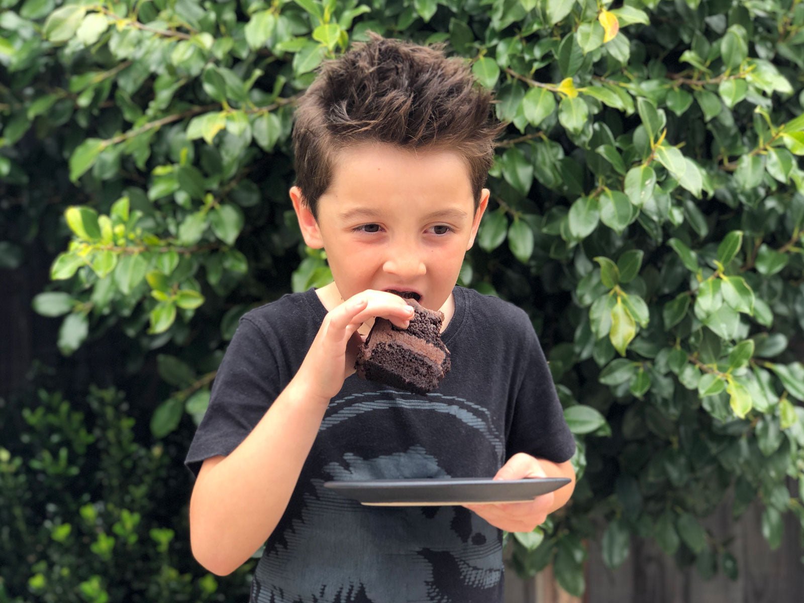 NO-Death by Chocolate (GF) - The Compassionate Kitchen (5638751551647)