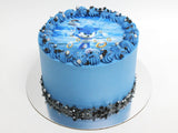 Sonic Edible Image Cake - The Cake People
