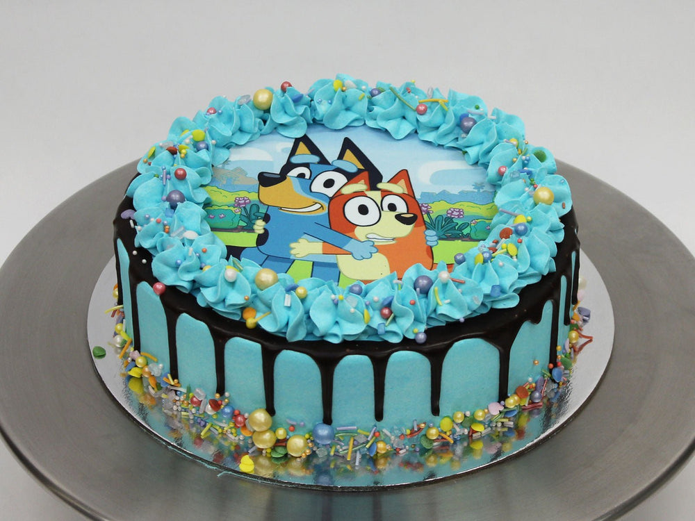 Bluey and Bingo Cake – The Cake People