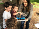 Kids Love our Custom Sonic Fault-line Edible Image Cupcakes 