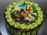 Dinosaur Cake - The Compassionate Kitchen (6915613851807)