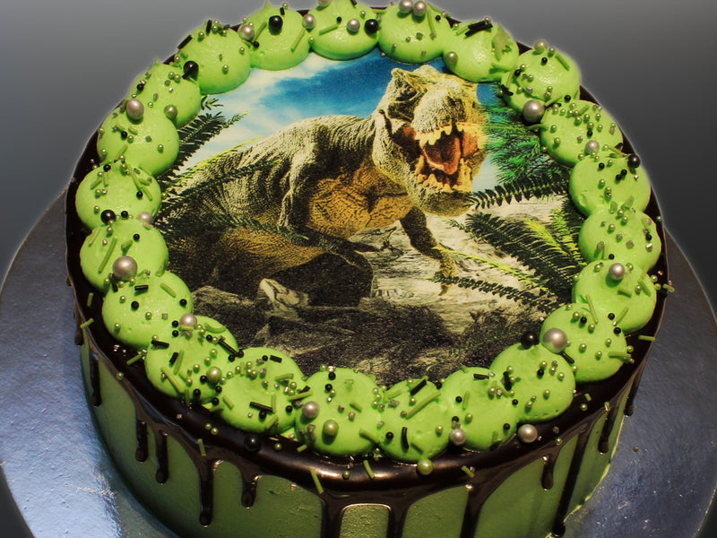 Dinosaur Cake - The Compassionate Kitchen (6915613851807)