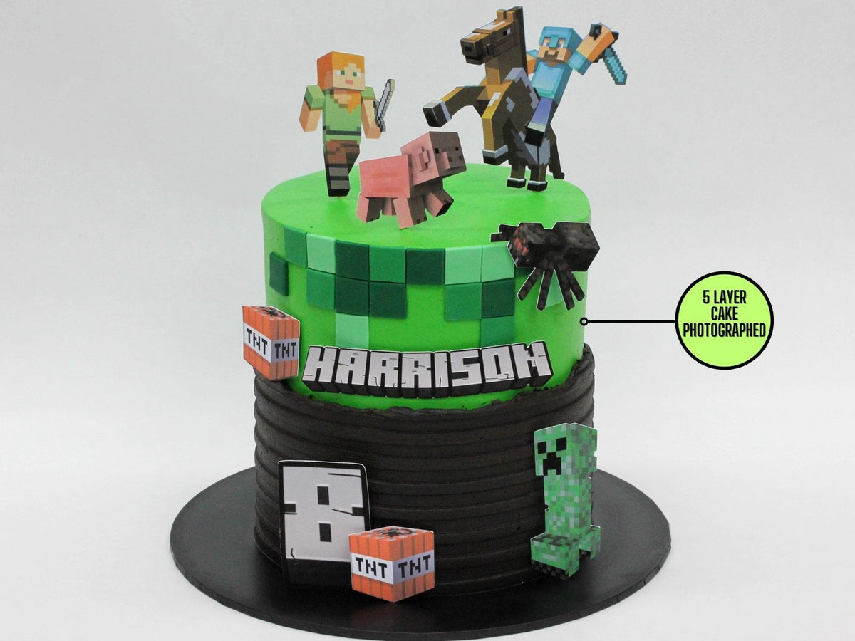 Minecraft Character Cake - The Compassionate Kitchen (8826251739295)