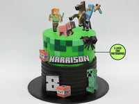 Minecraft Character Cake - The Compassionate Kitchen (8826251739295)
