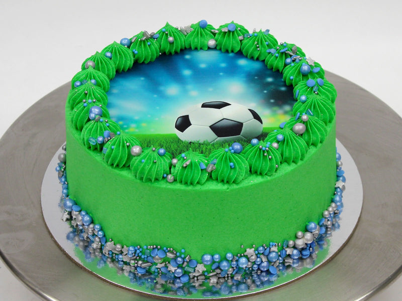 Soccer Cake - The Compassionate Kitchen (7637602074783)