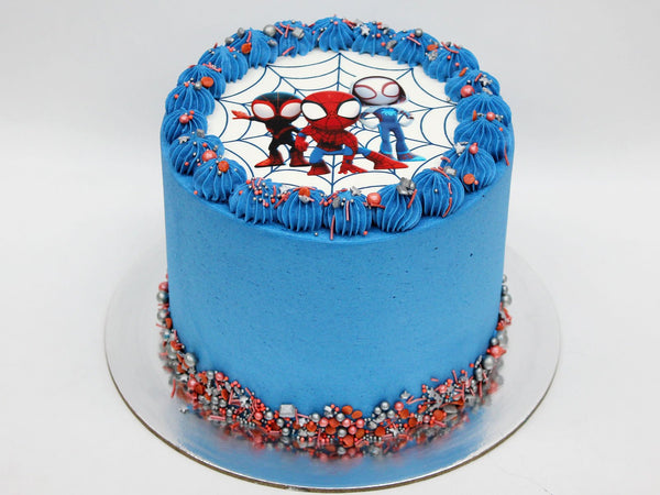 Spidey and His Amazing Friends Cake – The Cake People