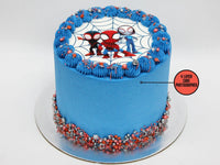 Spidey and His Amazing Friends Cake - The Compassionate Kitchen (8930598682783)